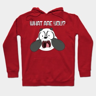 We Bare Bears Hoodie